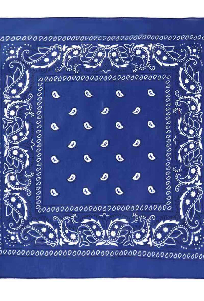 Bandana Paisley Cotton Bandana Head Wrap Neck Scarf Face Shield Head Wrist Band image 11