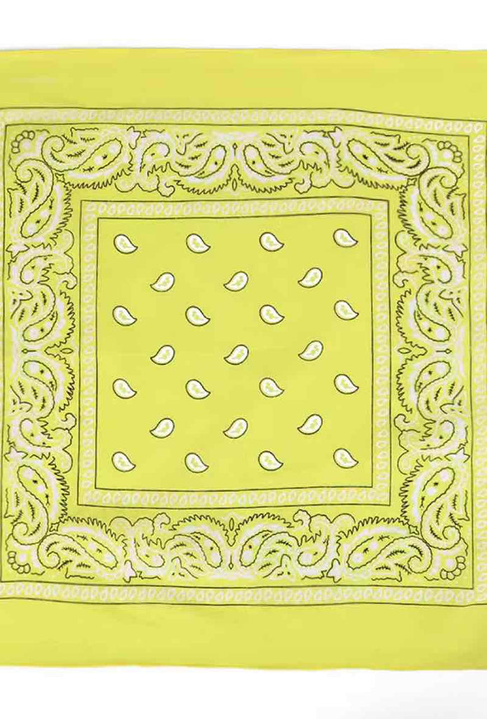 Bandana Paisley Cotton Bandana Head Wrap Neck Scarf Face Shield Head Wrist Band image 10