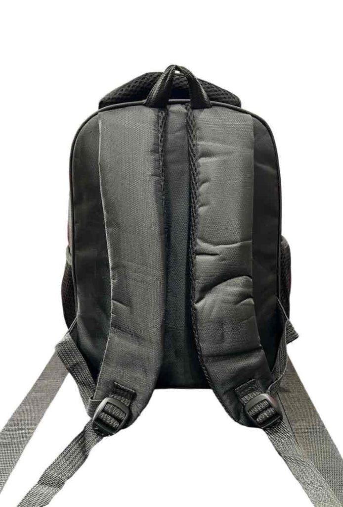 Small Backpack 2 pockets School and Hiking image 2