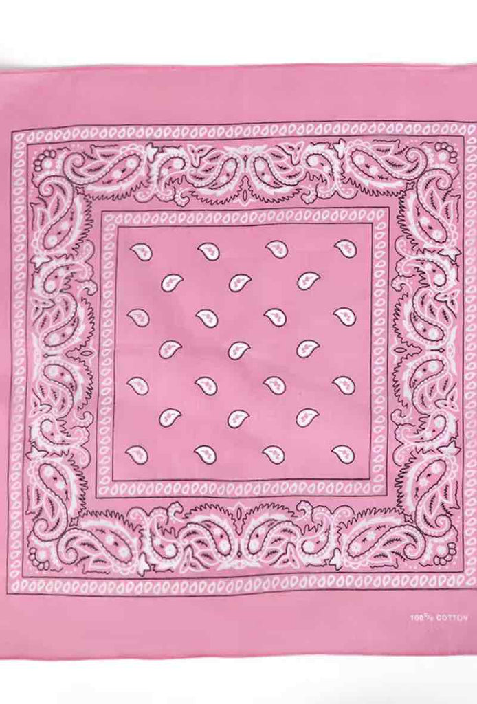 Bandana Paisley Cotton Bandana Head Wrap Neck Scarf Face Shield Head Wrist Band image 9