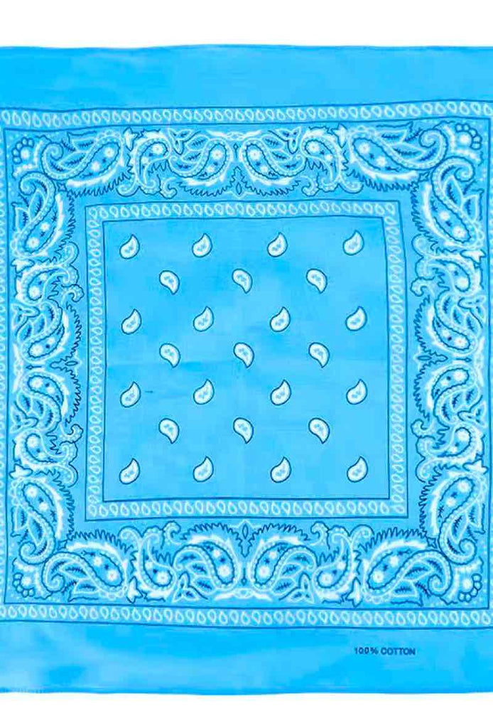 Bandana Paisley Cotton Bandana Head Wrap Neck Scarf Face Shield Head Wrist Band image 2