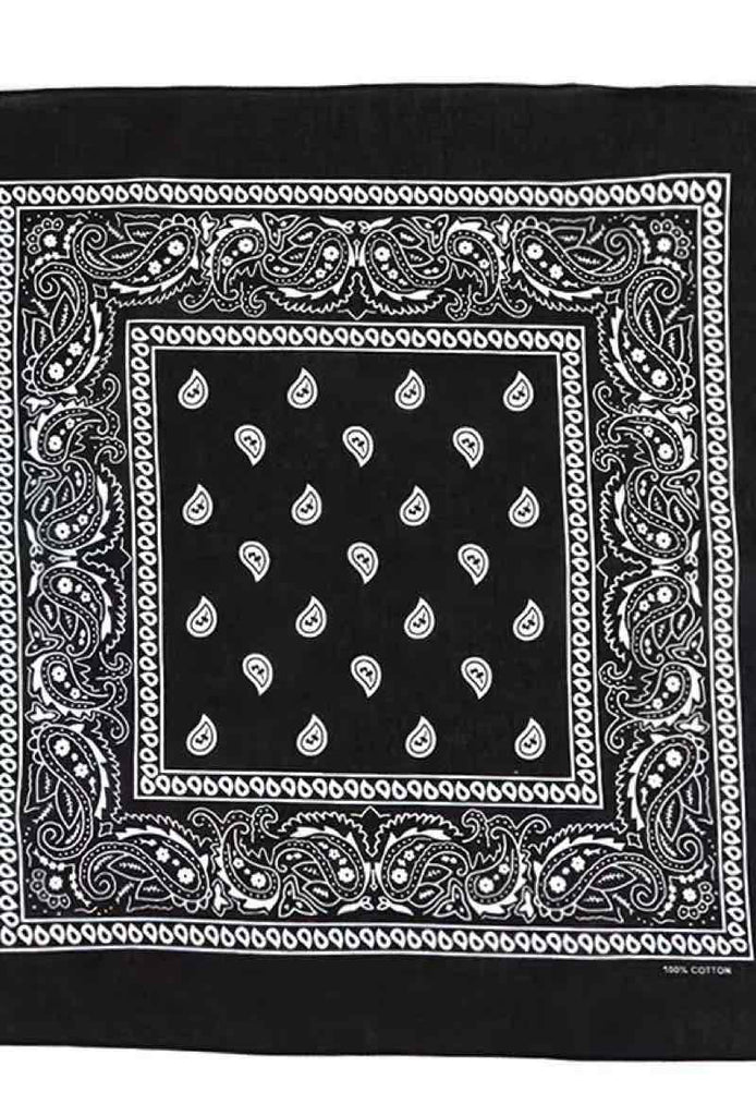 Bandana Paisley Cotton Bandana Head Wrap Neck Scarf Face Shield Head Wrist Band image 1
