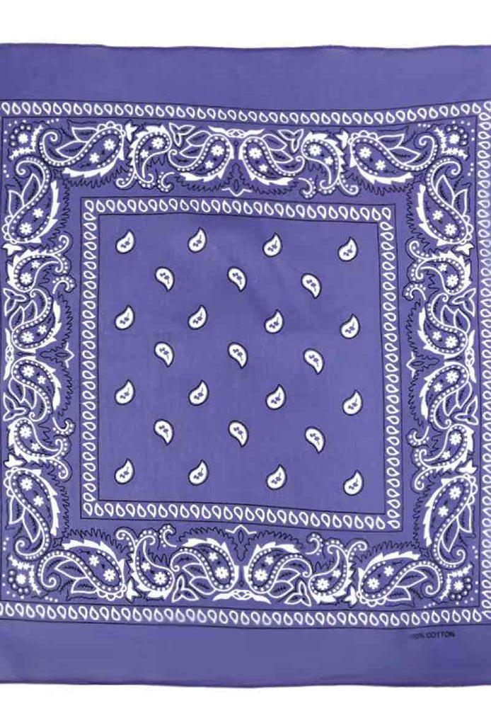 Bandana Paisley Cotton Bandana Head Wrap Neck Scarf Face Shield Head Wrist Band image 12