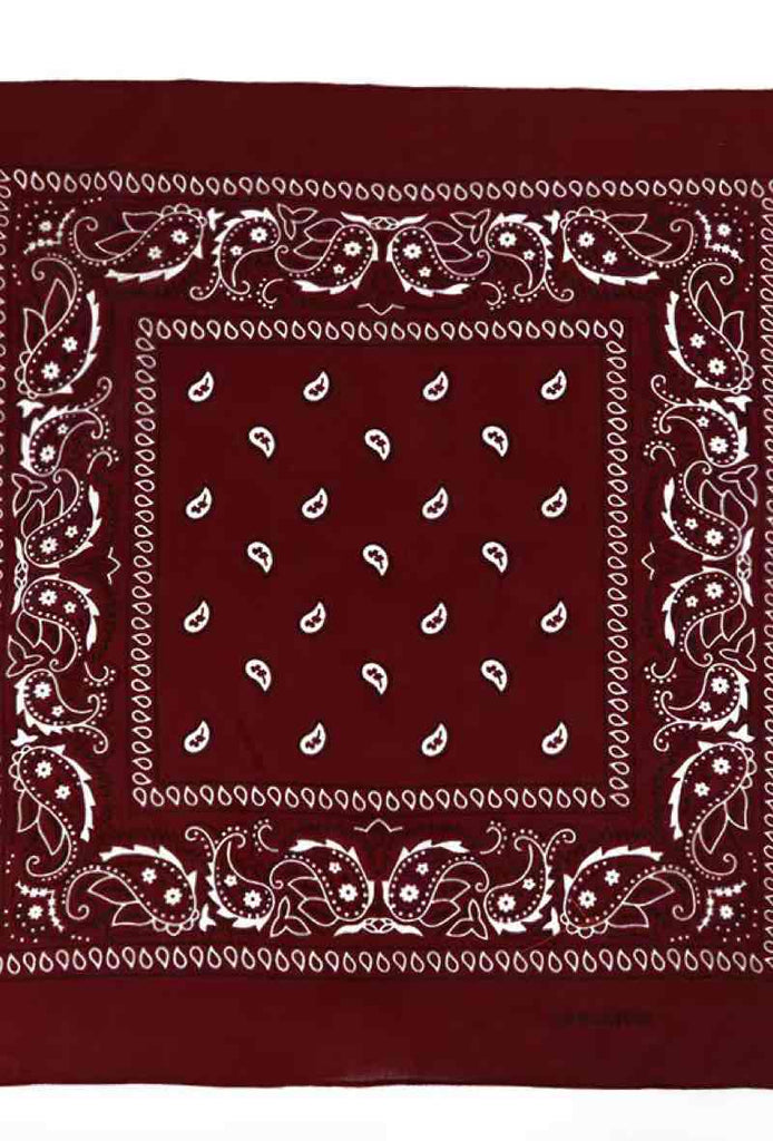 Bandana Paisley Cotton Bandana Head Wrap Neck Scarf Face Shield Head Wrist Band image 0