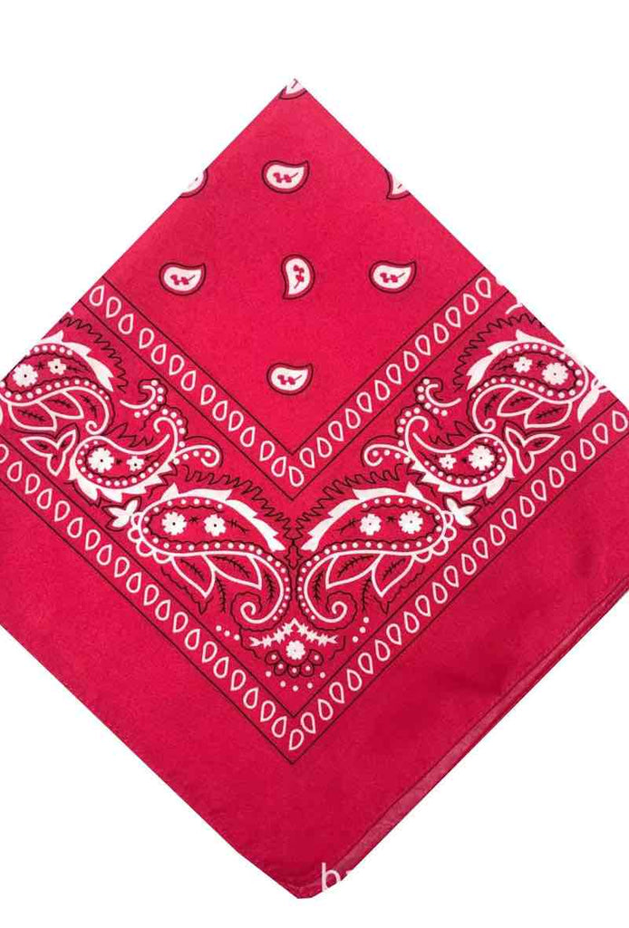 Bandana Paisley Cotton Bandana Head Wrap Neck Scarf Face Shield Head Wrist Band image 3
