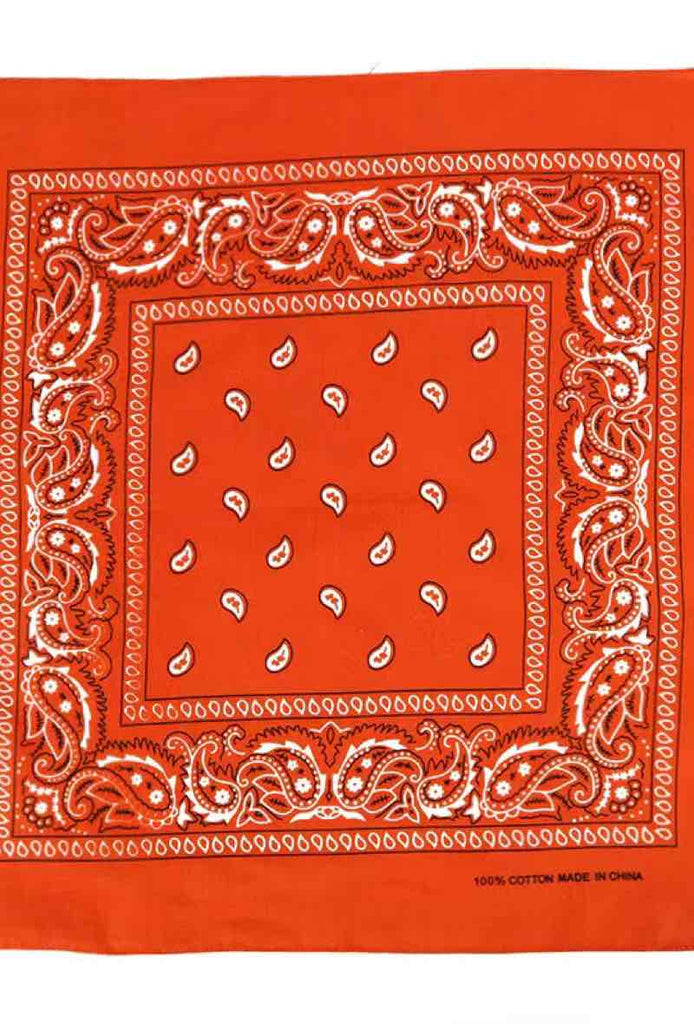 Bandana Paisley Cotton Bandana Head Wrap Neck Scarf Face Shield Head Wrist Band image 7