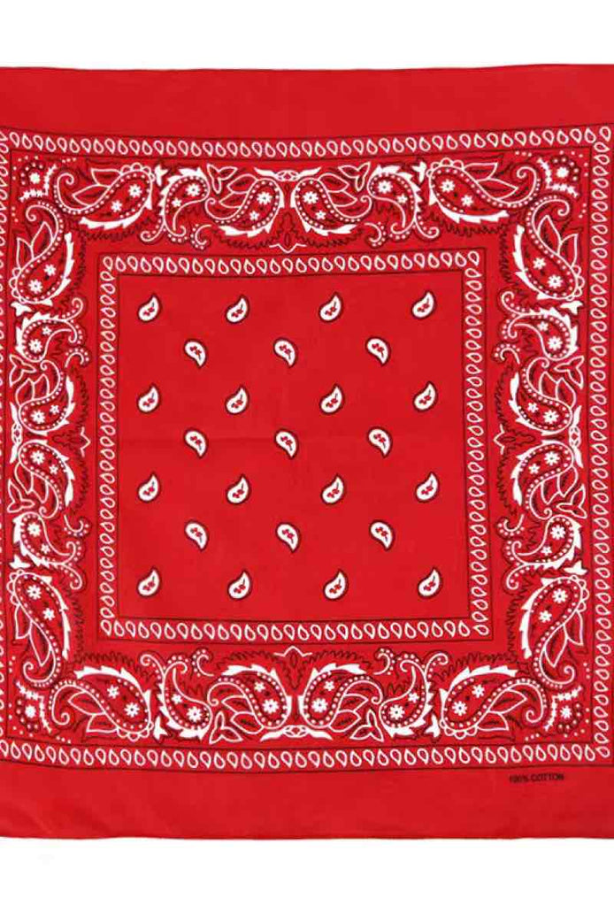 Bandana Paisley Cotton Bandana Head Wrap Neck Scarf Face Shield Head Wrist Band image 13