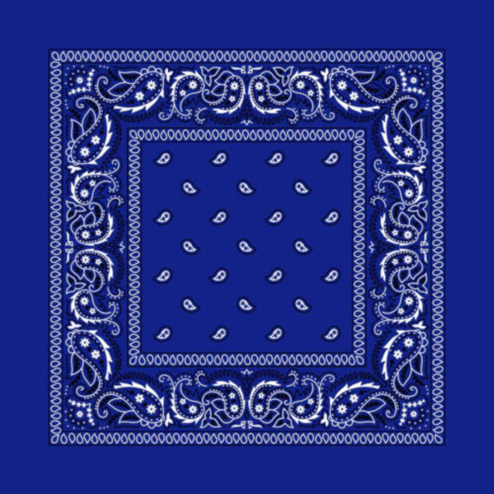 Paisley Cotton Bandana Head Wrap Neck Scarf Face Shield Head Wrist Band Beanie image 13